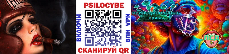 kraken рабочий сайт  Гудермес  Псилоцибиновые грибы Cubensis  купить  цена 